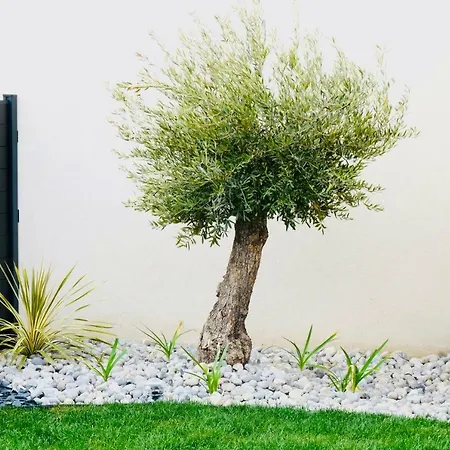 La Company Des Concierges : Evasion Villa *